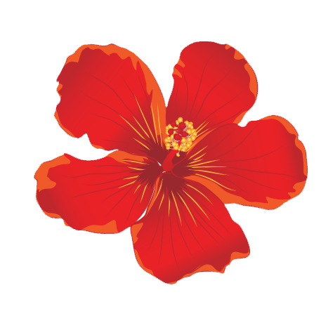 red-flower red-flower