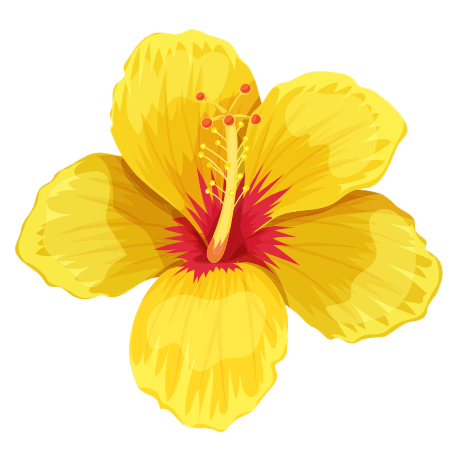 yellow-flower yellow-flower